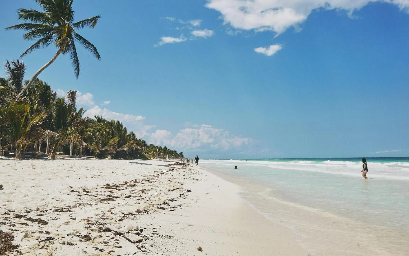 Aflora - Managed By Elite Alliance Tulum
